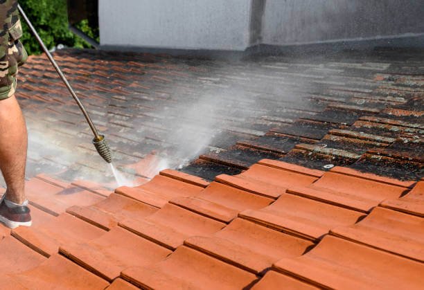 Close up of aging asphalt shingles on a Boise home needing soft wash