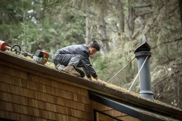 Professional roof moss removal service in Boise Idaho on an asphalt shingle roof.