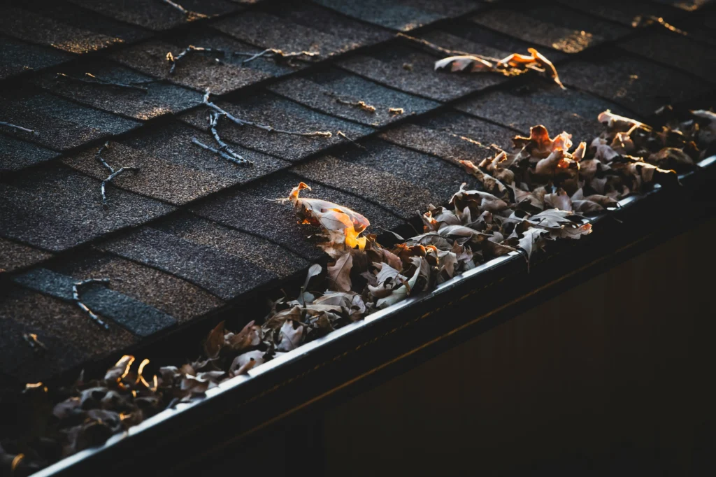 Professional gutter cleaning in Boise Idaho to prevent foundation cracks and water damage.