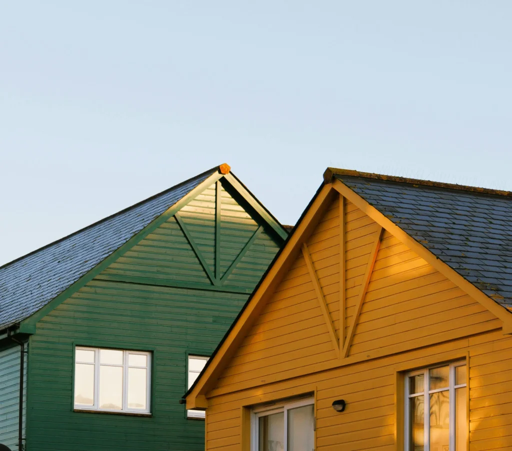 Heavy roof moss growth requiring professional cleaning in Treasure Valley