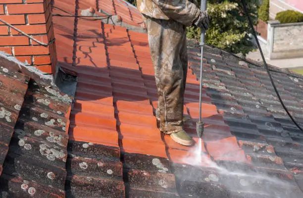 Cleaning roof moss before winter in Idaho to prevent damage