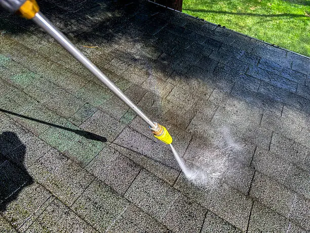 Affordable roof moss removal prices in Treasure Valley
