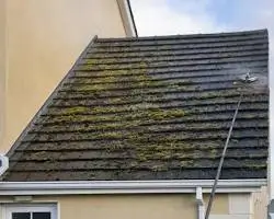 Professional low pressure roof soft washing service for residential shingles