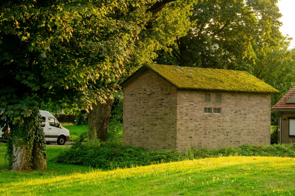 Safe low pressure shingle cleaning and roof moss removal Lochsa Falls services in Meridian ID.